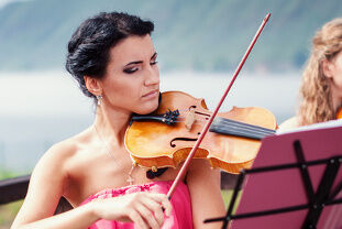 Violinista