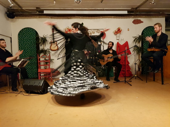 Yolanda Almodovar flamenco - duo, trio or band — photo 3