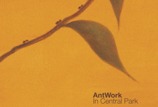 Antwork