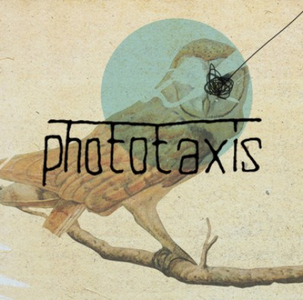phototaxis — photo 8