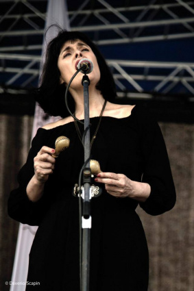 ACCORDEONICA — photo 4
