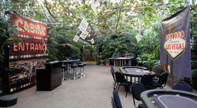 CasinoNight — photo 2