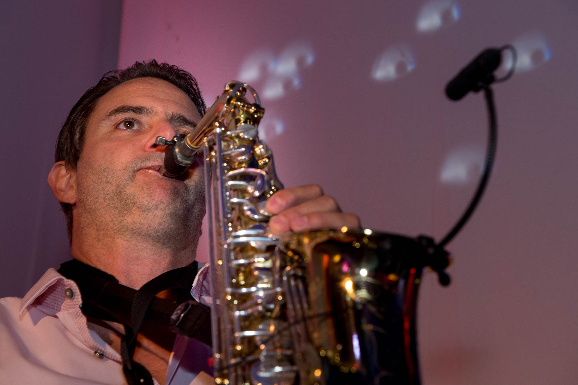 AWI`s Hochzeitsmusik — photo 3