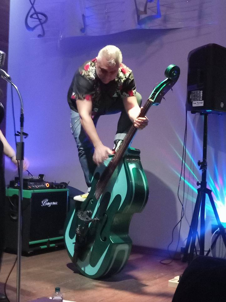 Rockin` Cats — photo 7
