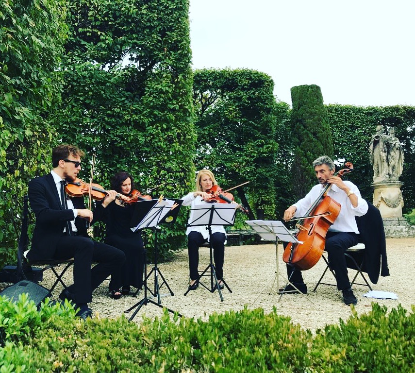 BKatch Strings  — photo 2