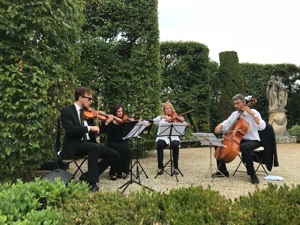 BKatch Strings  — photo 3