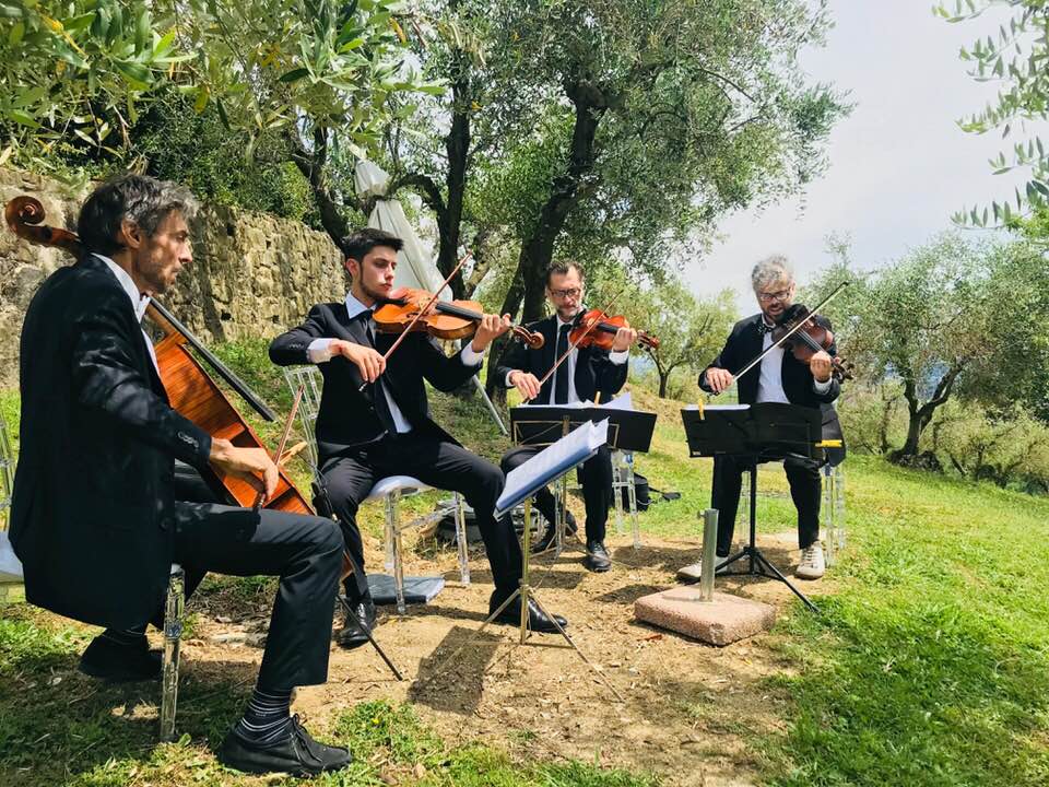 BKatch Strings  — photo 5