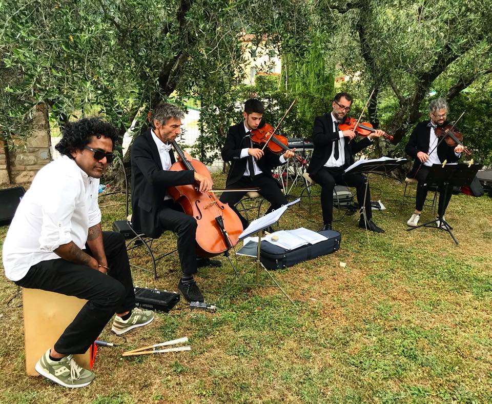 BKatch Strings  — photo 6