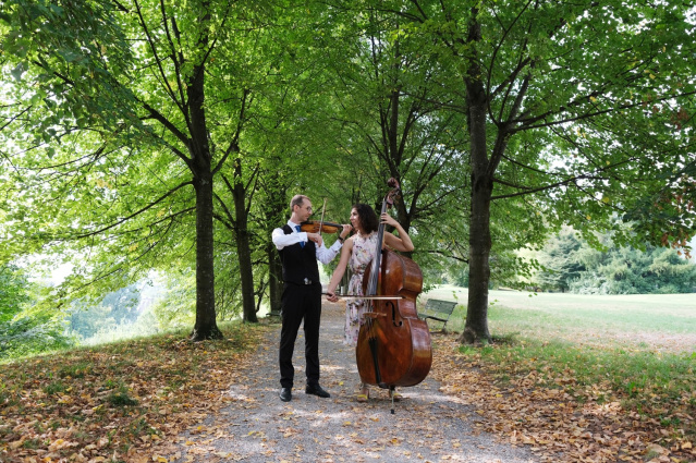 Sointu Music — photo 4