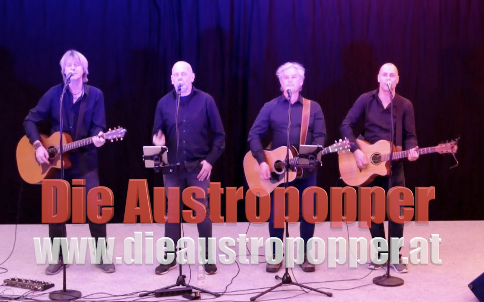Die Austropopper — photo 3