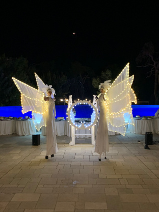Light Signals - Farfalle Luminose — photo 2