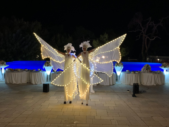 Light Signals - Farfalle Luminose — photo 13