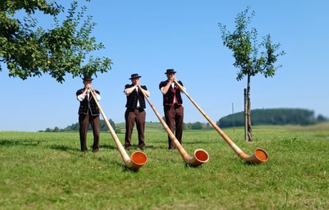 Alphorn Schweiz — photo 3
