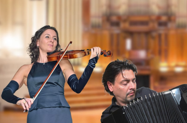 Violinistin Schweiz — photo 2