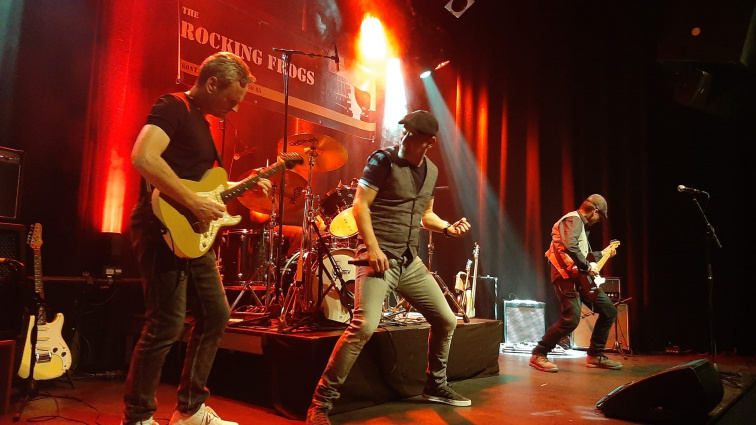 The Rocking Frogs — photo 3