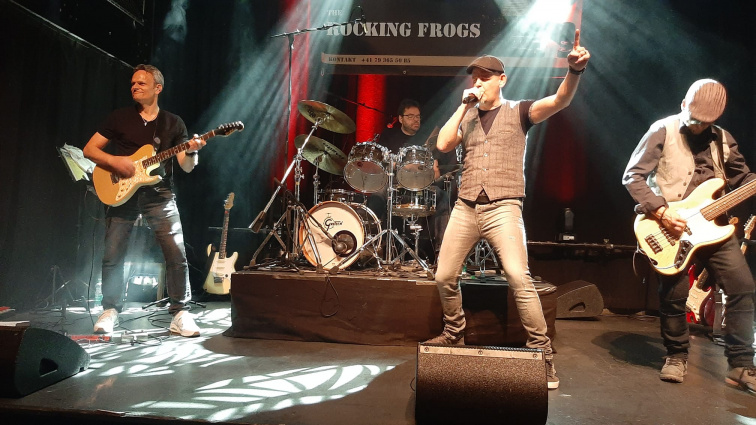 The Rocking Frogs — photo 4