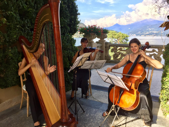 Arpa per cerimonie e aperitivi, feste aziendali — photo 6