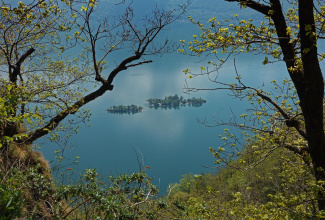 Isole di Brissago