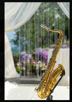 VIOLINISTA PIANO SAX VOCE ARPA CHITARRA — photo 14