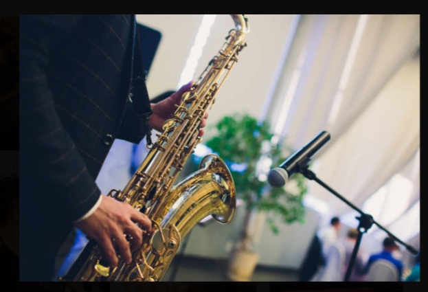 VIOLINISTA PIANO SAX VOCE ARPA CHITARRA — photo 16